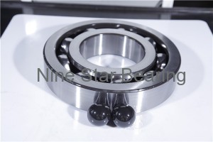 Hybrid bearing 6208