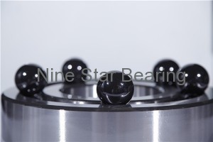 Hybrid ceramic bearing 61828