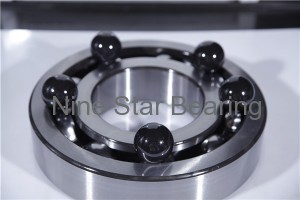 Hybrid ceramic bearing 61824