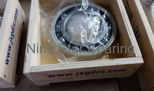 6216-C3-J20AA Insulated bearing